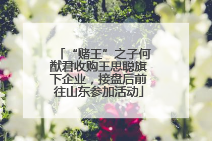“赌王”之子何猷君收购王思聪旗下企业，接盘后前往山东参加活动