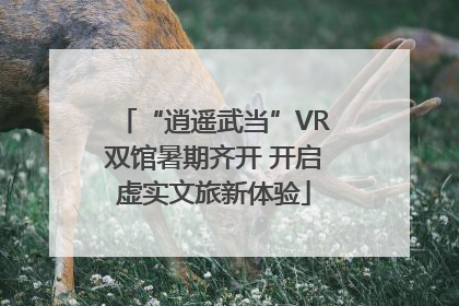 “逍遥武当”VR双馆暑期齐开 开启虚实文旅新体验