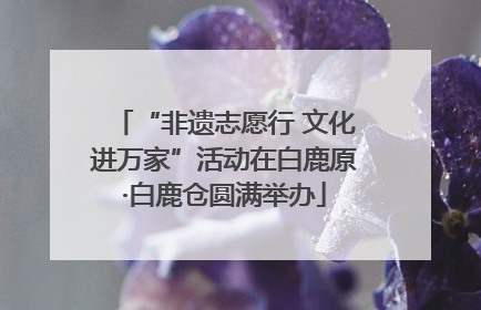 “非遗志愿行 文化进万家”活动在白鹿原·白鹿仓圆满举办