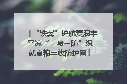 “铁翼”护航麦浪丰 平凉“一喷三防”织就夏粮丰收防护网