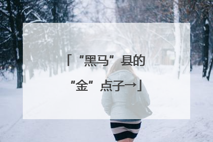 “黑马”县的“金”点子→
