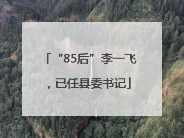 “85后”李一飞，已任县委书记