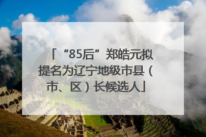 “85后”郑皓元拟提名为辽宁地级市县（市、区）长候选人