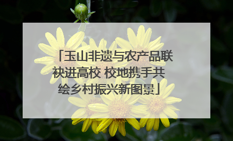 玉山非遗与农产品联袂进高校 校地携手共绘乡村振兴新图景
