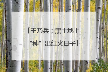王乃兵：黑土地上“种”出红火日子