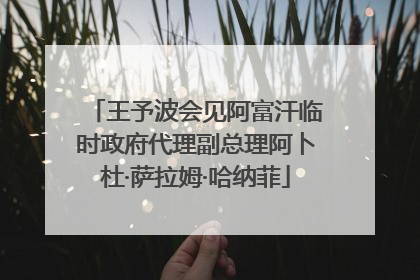 王予波会见阿富汗临时政府代理副总理阿卜杜·萨拉姆·哈纳菲