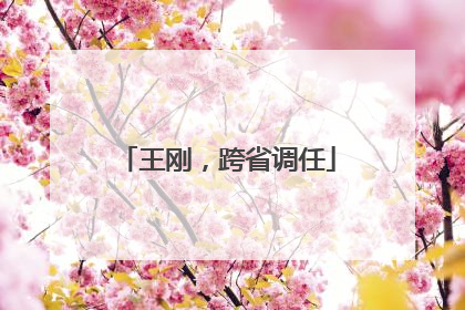 王刚，跨省调任