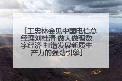 王忠林会见中国电信总经理刘桂清 做大做强数字经济 打造发展新质生产力的强劲引擎