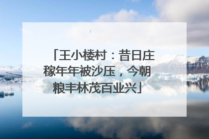 王小楼村：昔日庄稼年年被沙压，今朝粮丰林茂百业兴