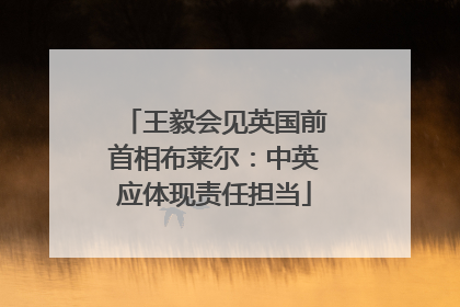 王毅会见英国前首相布莱尔：中英应体现责任担当