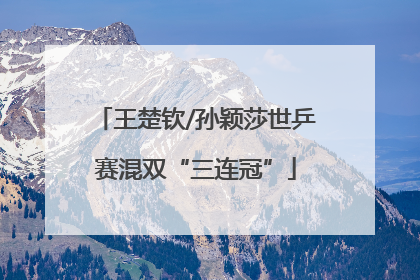 王楚钦/孙颖莎世乒赛混双“三连冠”