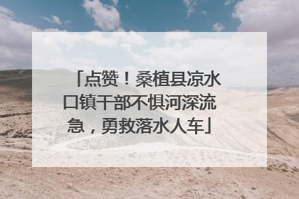 点赞！桑植县凉水口镇干部不惧河深流急，勇救落水人车