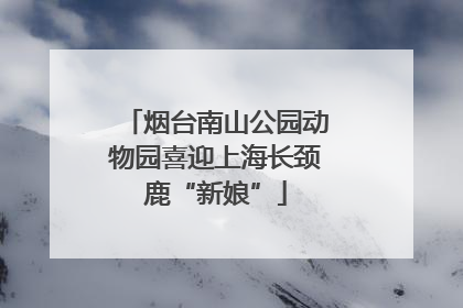 烟台南山公园动物园喜迎上海长颈鹿“新娘”