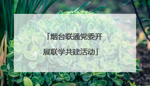 烟台联通党委开展联学共建活动