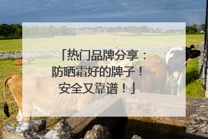 热门品牌分享：防晒霜好的牌子！安全又靠谱！