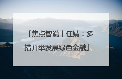 焦点智说丨任婧：多措并举发展绿色金融