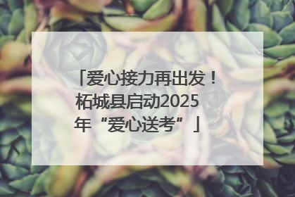 爱心接力再出发！柘城县启动2025年“爱心送考”