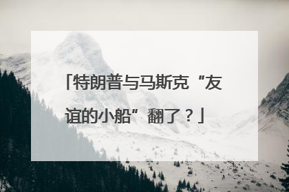 特朗普与马斯克“友谊的小船”翻了？