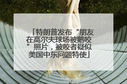 特朗普发布“朋友在高尔夫球场被鹅咬”照片，被咬者疑似美国中东问题特使