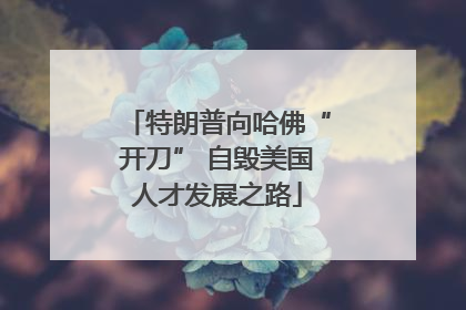 特朗普向哈佛“开刀” 自毁美国人才发展之路