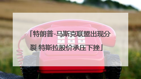 特朗普-马斯克联盟出现分裂 特斯拉股价承压下挫