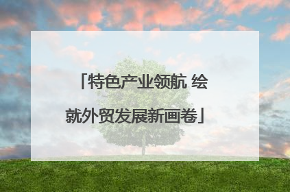 特色产业领航 绘就外贸发展新画卷