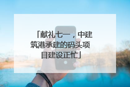 献礼七一，中建筑港承建的码头项目建设正忙