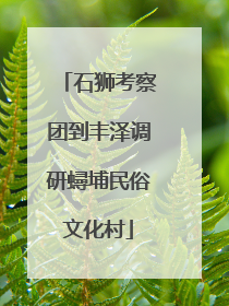 石狮考察团到丰泽调研蟳埔民俗文化村
