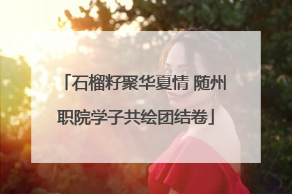 石榴籽聚华夏情 随州职院学子共绘团结卷