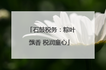 石鼓税务：粽叶飘香 税润童心