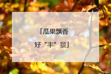 瓜果飘香 好“丰”景