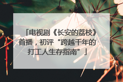 电视剧《长安的荔枝》首播，初评“跨越千年的打工人生存指南”