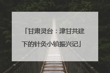 甘肃灵台：津甘共建下的针灸小镇振兴记