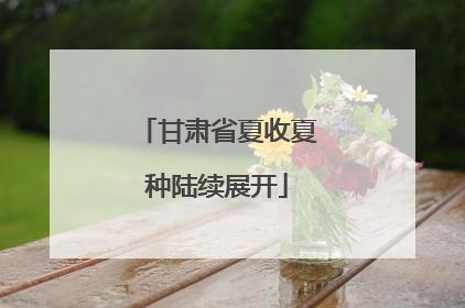 甘肃省夏收夏种陆续展开