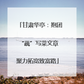 甘肃华亭：抱团“蔬”写菜文章 聚力拓宽致富路