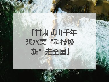 甘肃武山千年浆水菜“科技焕新”走全国