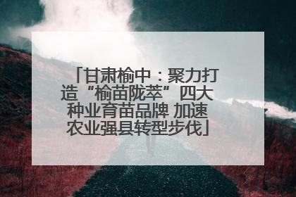甘肃榆中：聚力打造“榆苗陇萃”四大种业育苗品牌 加速农业强县转型步伐