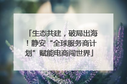 生态共建，破局出海！静安“全球服务商计划”赋能电商闯世界