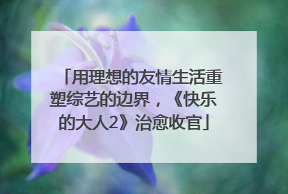 用理想的友情生活重塑综艺的边界，《快乐的大人2》治愈收官