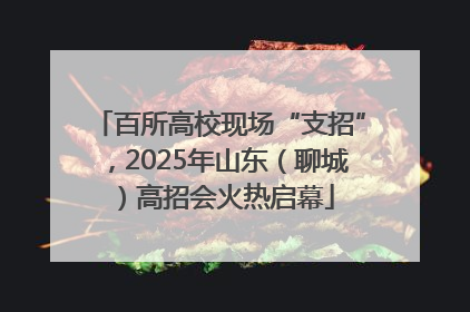 百所高校现场“支招”，2025年山东（聊城）高招会火热启幕