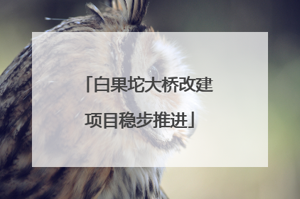 白果坨大桥改建项目稳步推进