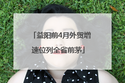益阳前4月外贸增速位列全省前茅