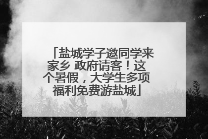 盐城学子邀同学来家乡 政府请客！这个暑假，大学生多项福利免费游盐城