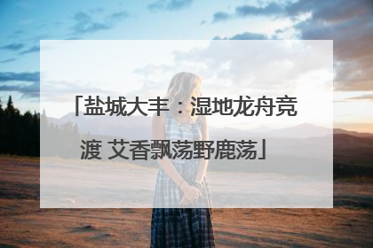 盐城大丰：湿地龙舟竞渡 艾香飘荡野鹿荡