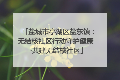 盐城市亭湖区盐东镇：无结核社区行动守护健康 ·共建无结核社区