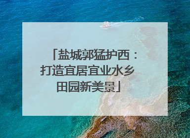 盐城郭猛护西：打造宜居宜业水乡田园新美景