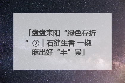 盘盘耒阳“绿色存折”②｜石缝生香 一椒麻出好“丰”景