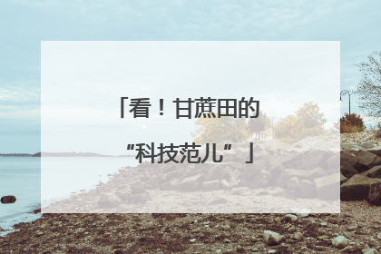 看！甘蔗田的“科技范儿”
