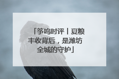 筝鸣时评丨夏粮丰收背后，是潍坊全城的守护