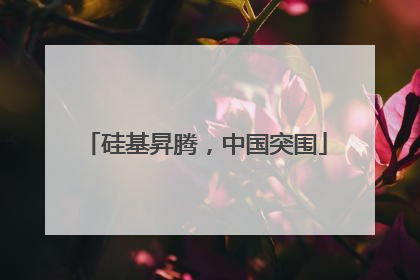 硅基昇腾，中国突围